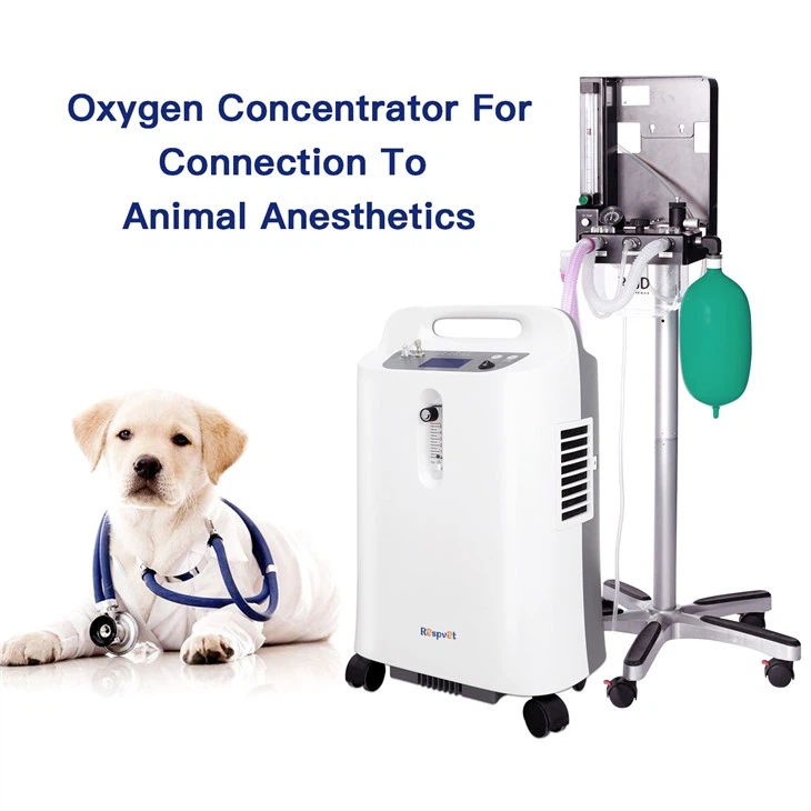 PSA Home Medical Portable 5Lpm Continuous Flow Oxygen Generator Machine Mobile 5 Liter Atomization Oxygene Concentrator manufacturers