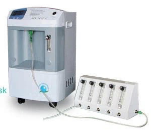 Pediatric 10 Liter Oksigen Concentrator dengan 5 Way Arus Splitter