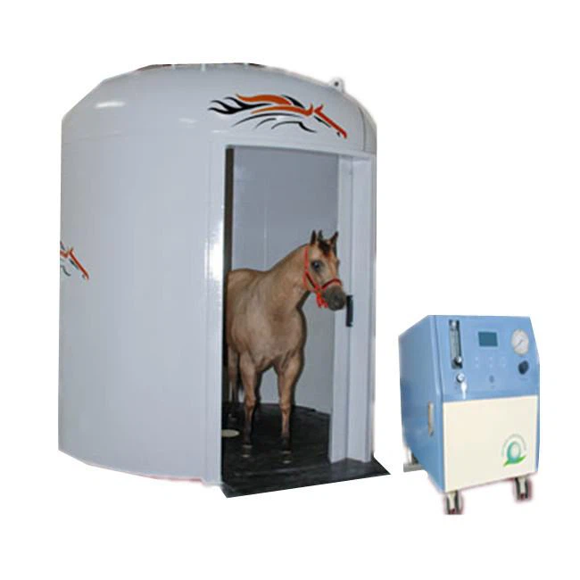 10 Liter Oxygenerator For Animals Use