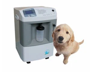 Konsentrator Oksigen Hewan Kecil Dengan 5/8/10L