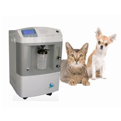 5L Longfian Oxygen Concentrator JAY-5 Use For Veterinary