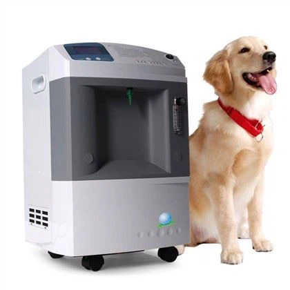 Konsentrator Oksigen 10L Hewan Digunakan Di Klinik Atau Rumah Sakit Kecil